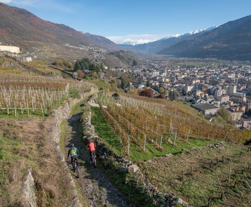 Strada del Vino Valtellina  In E-Bike nelle vigne della Valtellina